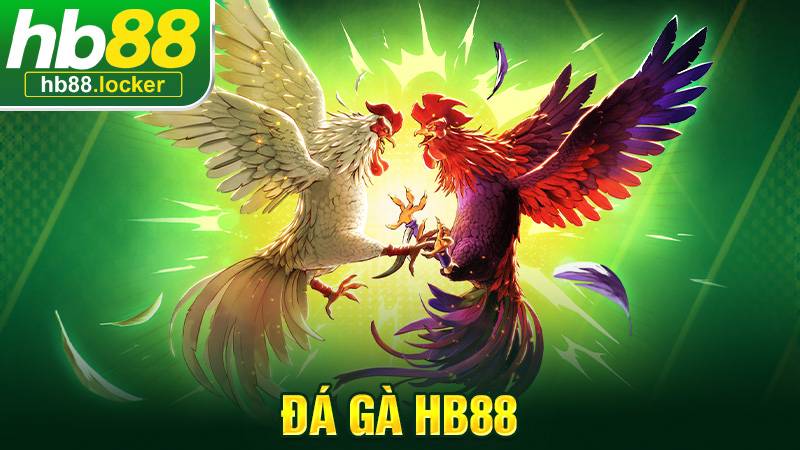 Đá gà HB88